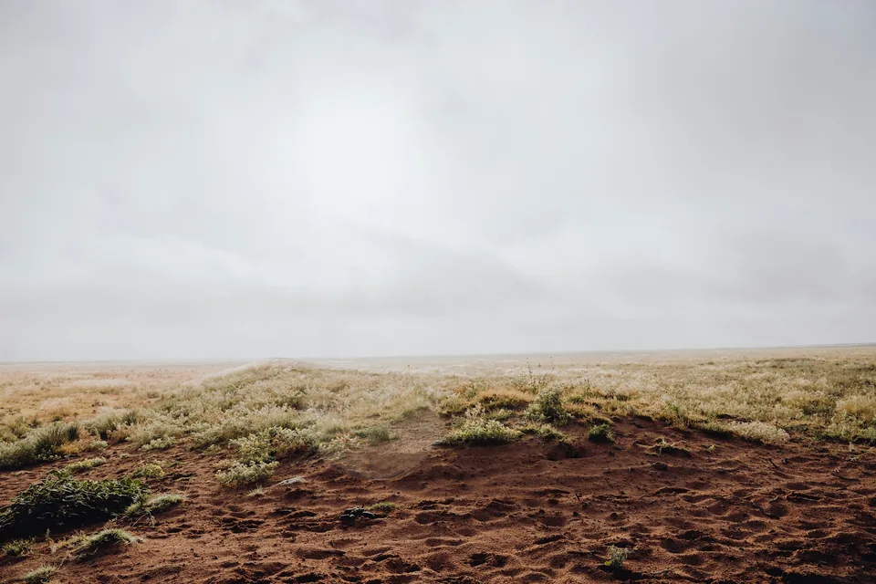 Dry grass and red dirt under an overcast sky