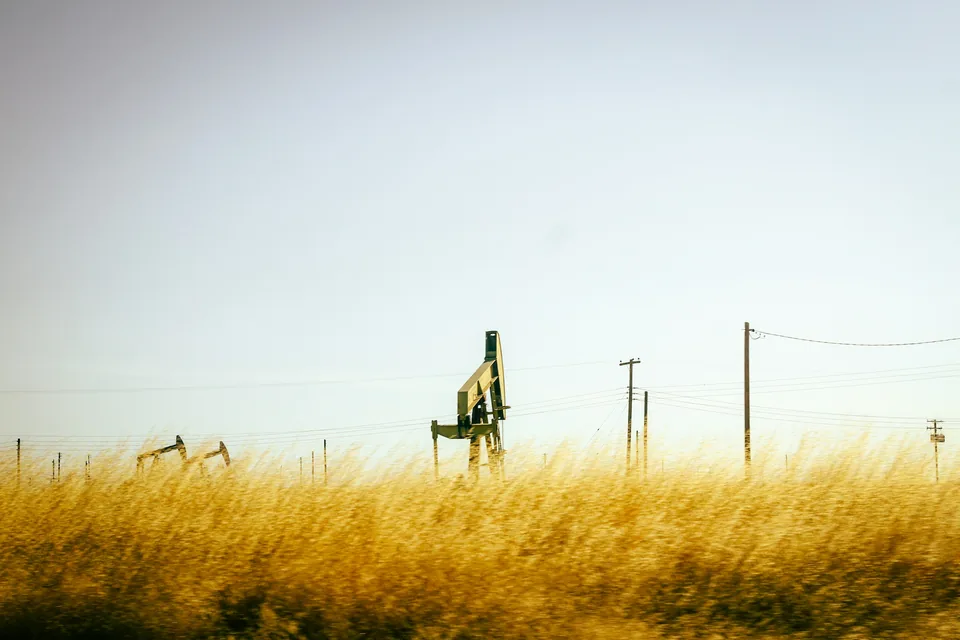 Pump jacks standing in tall golden grass under a pale sky
